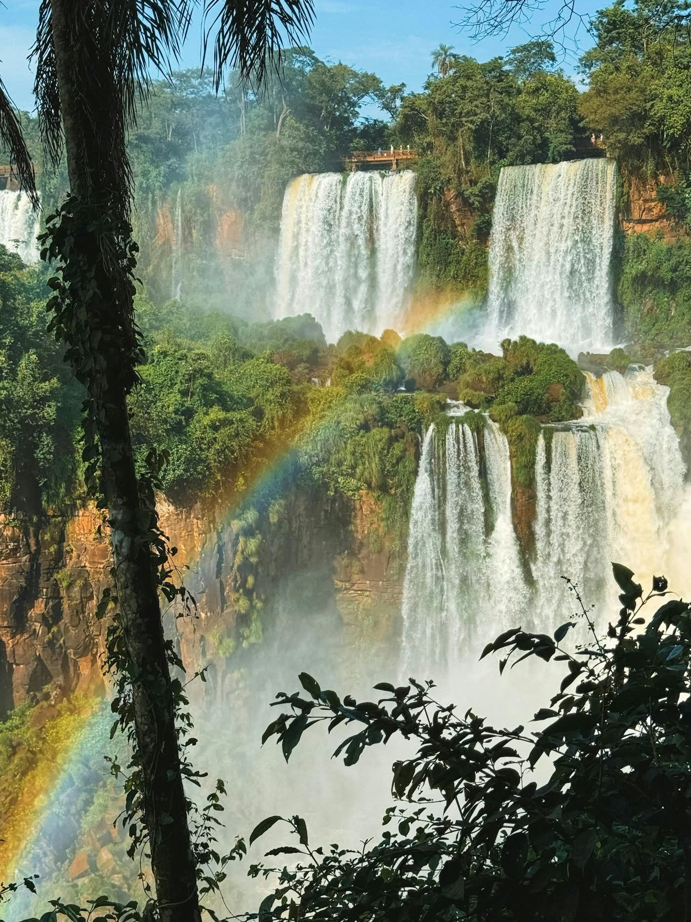 Rainbow over Iguazu Falls seen through the rainforest