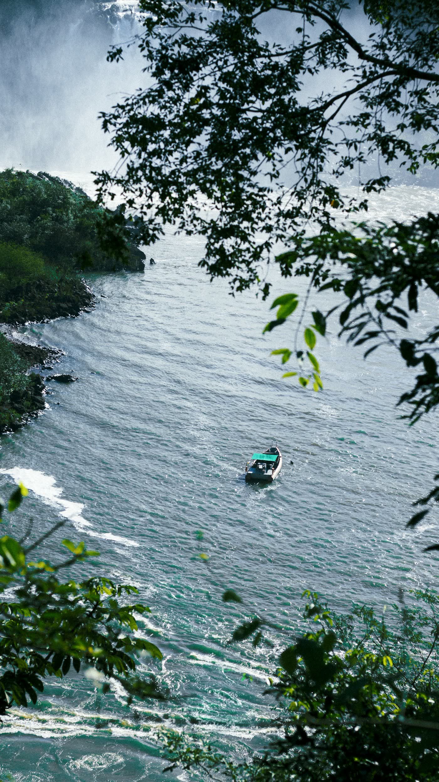 A boat on the Iguazu River seen through the trees